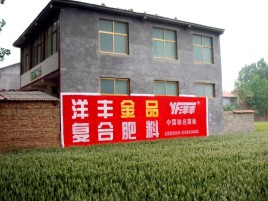 彭泽如何让墙体广告展现最大化效果
