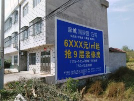 彭泽墙体广告质量分析