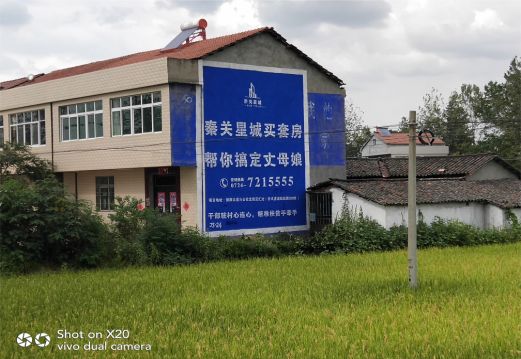 彭泽决定墙体广告价格的因素有哪些?