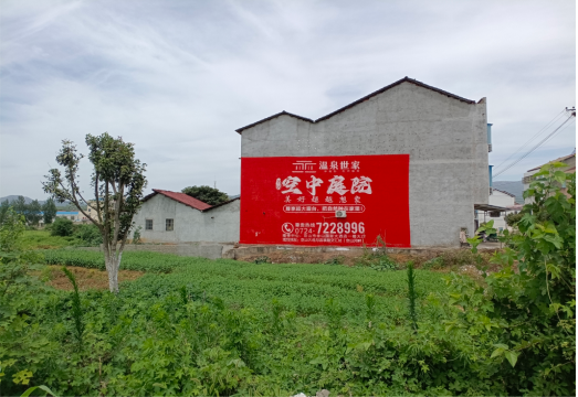 彭泽做墙体广告的意义