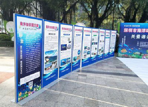 彭泽KT板的种类和知识。